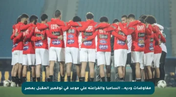 مفاوضات ودية.. السامبا والفراعنة على موعد في نوفمبر المقبل بمصر